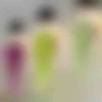 Dekoratív függő növény | IVYORA