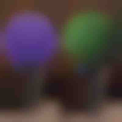 Dekoratív növényi gömb | TOPIORB