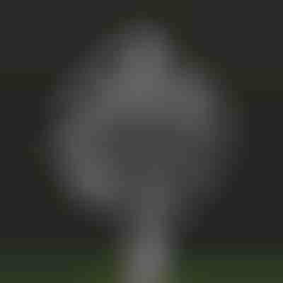 Kerti varázslatos kinetikus szélforgó | WINDARA