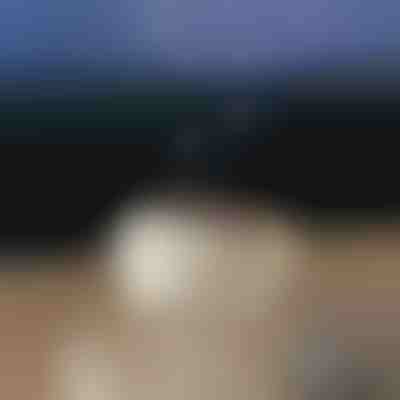 Nyugtató aroma diffúzor | MEDUSAMIST